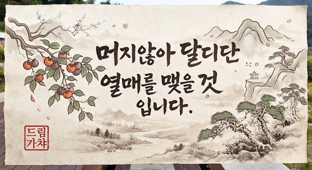 오늘의 운세 카드